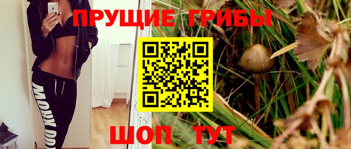 Псилоцибиновые грибы мицелий Зеленокумск